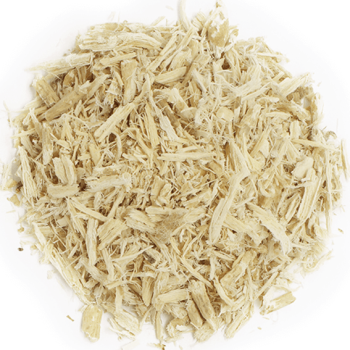 Quassia Amara Quassia Amara