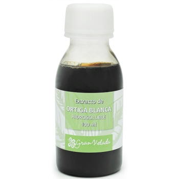 Extrakt aus weißer Brennnessel