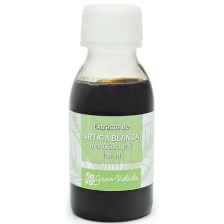 Extrakt aus weißer Brennnessel