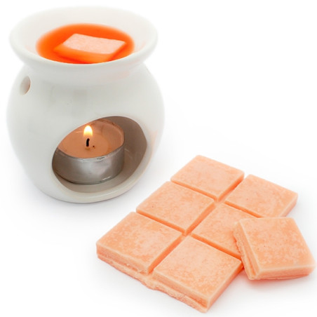 Form für Duftwachstabletten