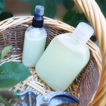 Neemöl – Natürlich bei Akne, Schuppen & Pflanzenschädlingen | Gran Velada