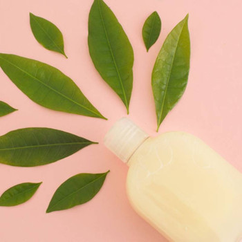 Grünteeöl. Online-Verkauf. Toller Abend.