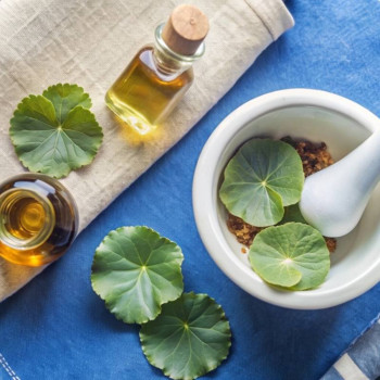 Kaufe Centella Asiatica Öl. Online-Verkauf.