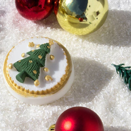 Set zur Herstellung von Weihnachtsseifen. Material und Anleitung