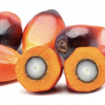 Natürliches Palmöl. Online-Verkauf. Gran Velada