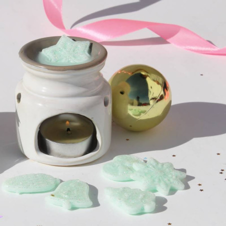 Kit zur Herstellung von Weihnachtswachs. Materialien und Anleitungen