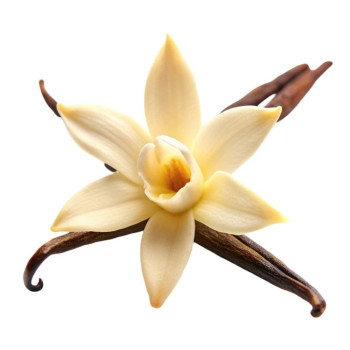 Vanilkový olej na pleť, telo a vlasy | Kozmetická kvalita