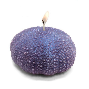 Form zur Herstellung von Kerzen großer Meerschwamm