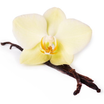 Vanilleessenz zur Herstellung von Kerzen und Lufterfrischern. Online-Verkauf.