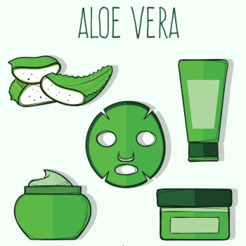 Kúpte si aloe vera gél veľkoobchod. Online predaj. Kúpte si aloe vera gél veľkoobchod. Online predaj.