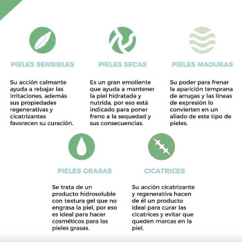 Gelierte Aloe Vera – Feuchtigkeitsspendend, beruhigend und regenerierend. Gran Velada