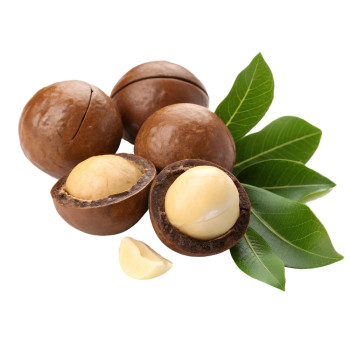 Aromatická esencia kokos-karité – Tropická a obklopujúca vôňa Aromatická esencia kokos-karité – Tropická a obklopujúca vôňa