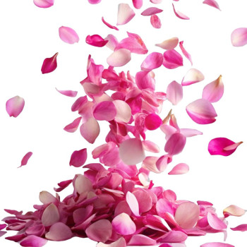 Vôňa Flower Bomb na parfémy, sviečky a kozmetiku – Gran Velada Vôňa Flower Bomb na parfémy, sviečky a kozmetiku – Gran Velada