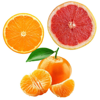Zitrusessenzen – Orange, Grapefruit, Mandarine | Vorteilsset | Gran Velada