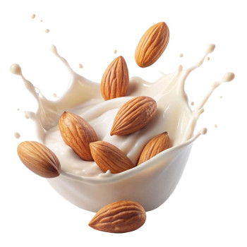 Premium-Essenz aus Milch und Mandeln. Online-Verkauf.