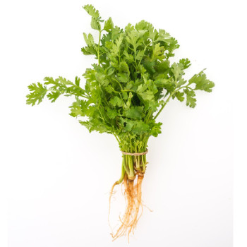 10% koriandrový esenciálny olej pre kozmetiku a aromaterapiu. 10% koriandrový esenciálny olej pre kozmetiku a aromaterapiu.