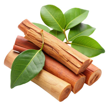 Sandelholz-Ätherisches Öl – beruhigend & pflegend für Haut, Haare und Aromatherapie