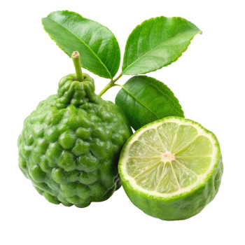 Ätherisches Bergamotteöl. Online-Verkauf. Toller Abend