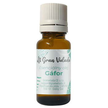 Camphor essential oil