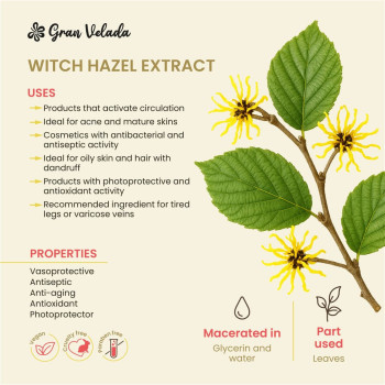 Hamamelis-Extrakt für Kosmetika Online-Verkauf.