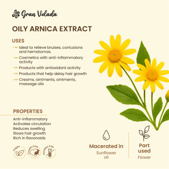 Kaufen Sie öligen Arnika-Extrakt. Online-Verkauf.