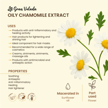 Kamillenextrakt oder ölige Kamille. Online-Verkauf