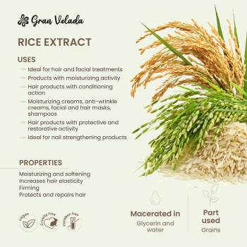 Reisextrakt für Kosmetika Online-Verkauf.