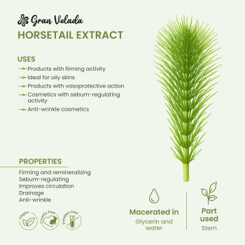 Schachtelhalmextrakt für Kosmetika. Online-Verkauf