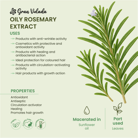 Kaufen Sie öligen Rosmarinextrakt. Online-Verkauf.