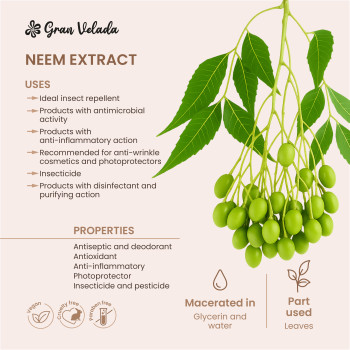 Neem-Extrakt für Insektizide und Kosmetika. Online-Verkauf
