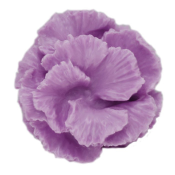 Forma na sviečky karafiát