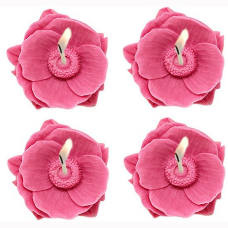 4 orientalische Mohnblumen Kerzenform