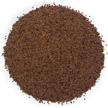 Predaj semienok jahôd na peeling. Online obchod Predaj semienok jahôd na peeling. Online obchod